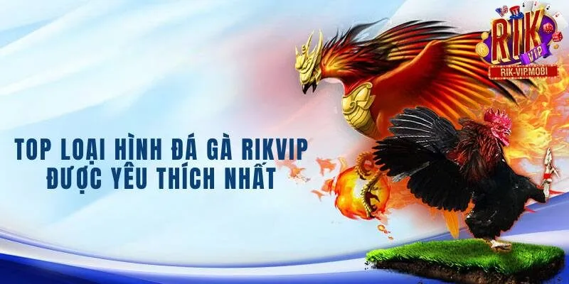 Top loại hình đá gà được yêu thích nhất tại Rikvip